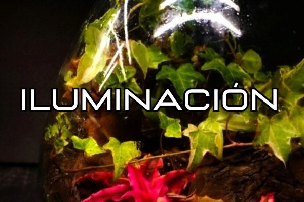 Iluminacion terrario